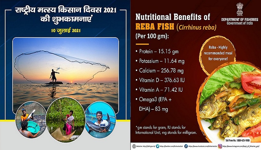 Nutrition Benefits of REBA FISH