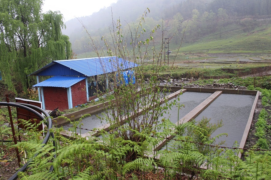 15. Trout Hatchery