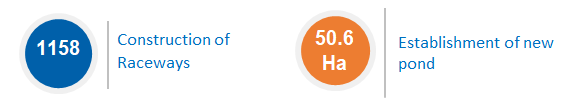 CSS
